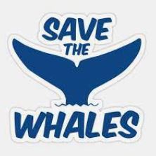 Save The Whales - 1.JPG